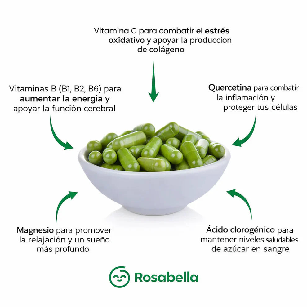 🌿 Moringa Premium Natural – Apoya tu Energía y Bienestar Diario