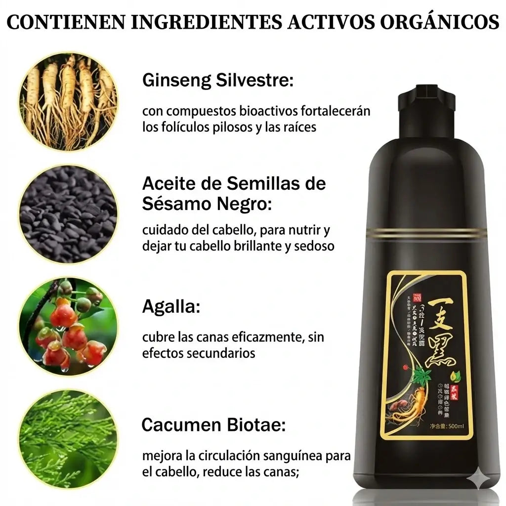 Shampoo 3 en 1 Cubre Canas - ¡Tratamiento Diario para tapar las CANAS de Forma Efectiva!