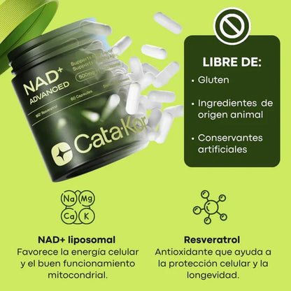 Cata-Kor | NAD+ para Antienvejecimiento, Energía y Concentración