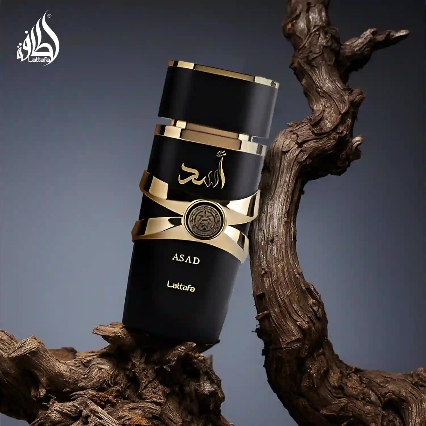 Lattafa Asad 100 ml – Aroma de hombre que deja huella desde el primer paso
