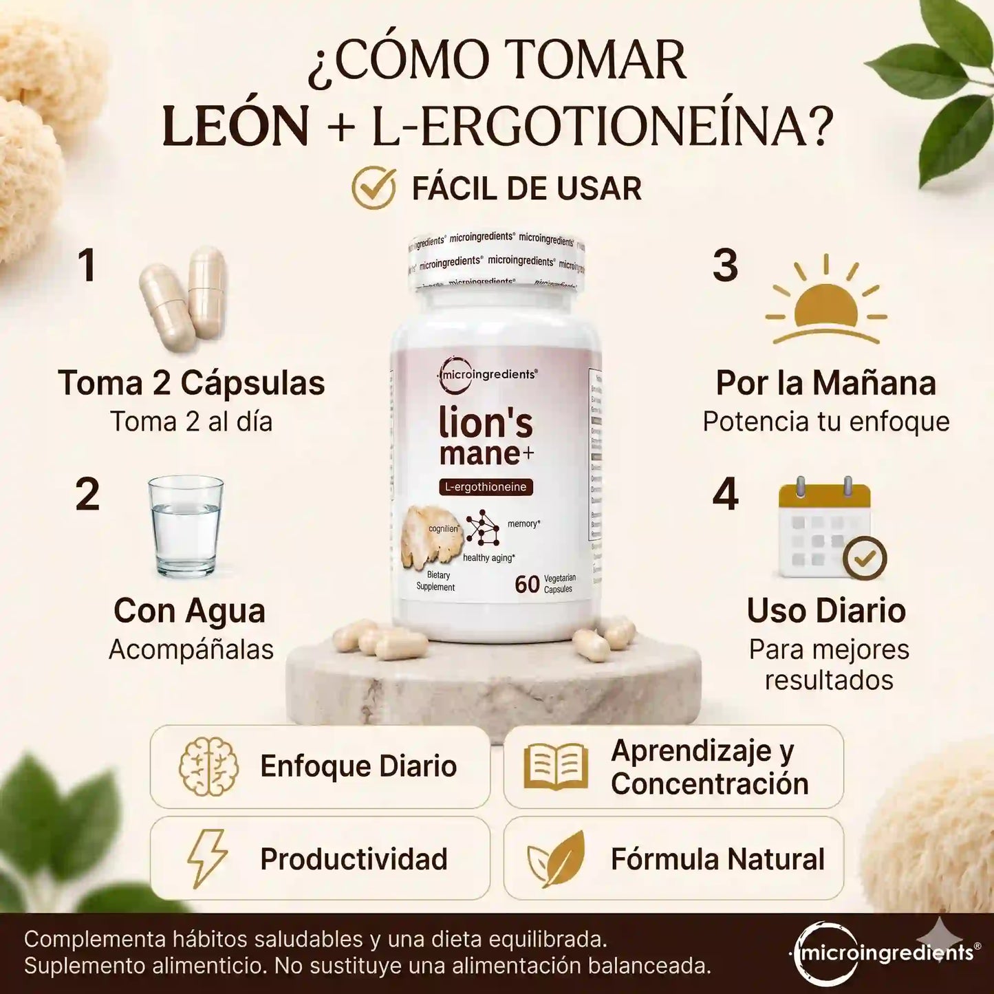 Melena de León 2000mg + L-Ergotioneína — Apoya Concentración y Memoria Mental (240 Cápsulas · 4 Meses)