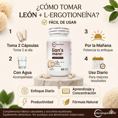 Melena de León 2000mg + L-Ergotioneína — Apoya Concentración y Memoria Mental (240 Cápsulas · 4 Meses)