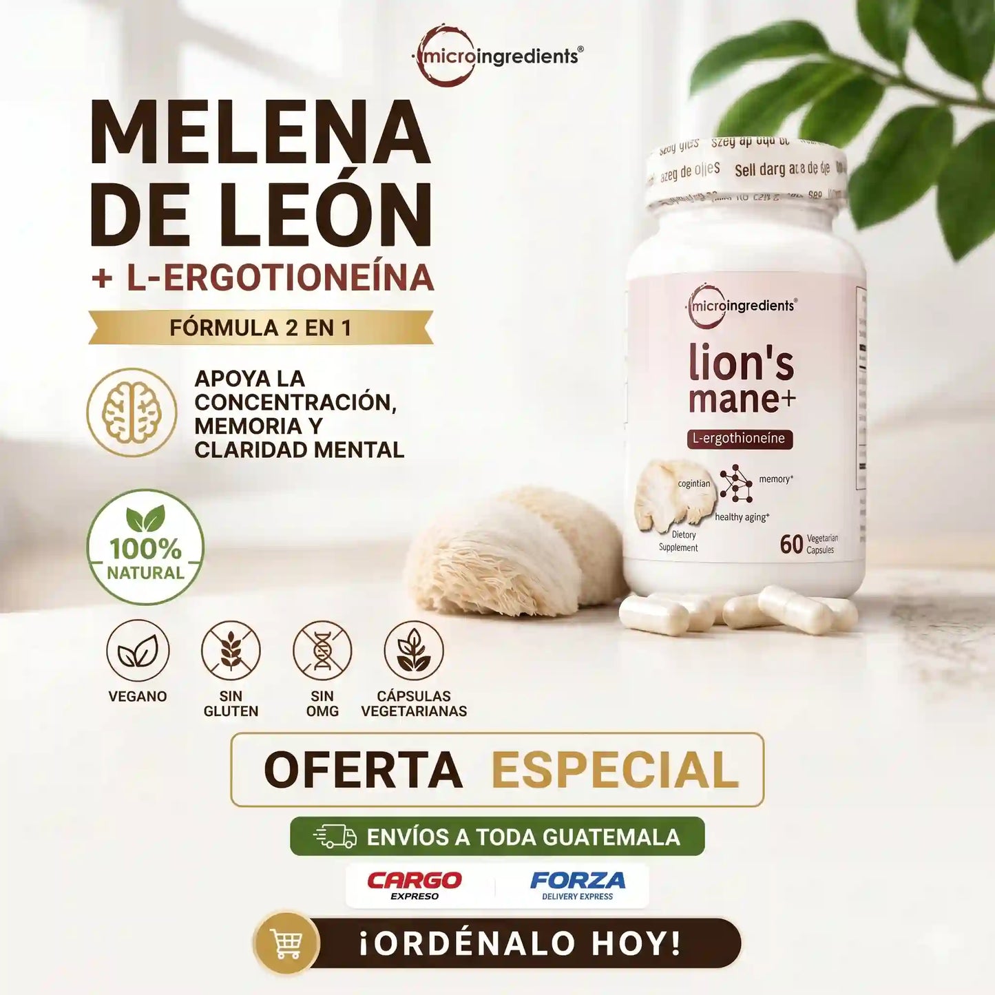 Melena de León 2000mg + L-Ergotioneína — Apoya Concentración y Memoria Mental (240 Cápsulas · 4 Meses)