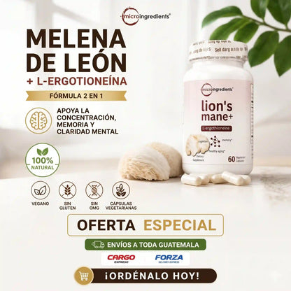 Melena de León 2000mg + L-Ergotioneína — Apoya Concentración y Memoria Mental (240 Cápsulas · 4 Meses)