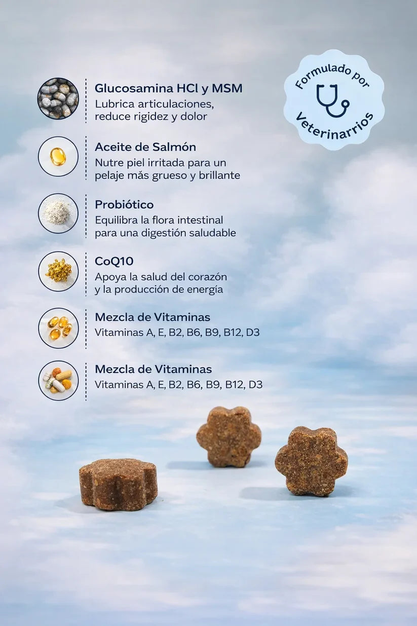Dog is Human Probiótico Multivitamínico Premium - Mejora el Sistema Inmunológico