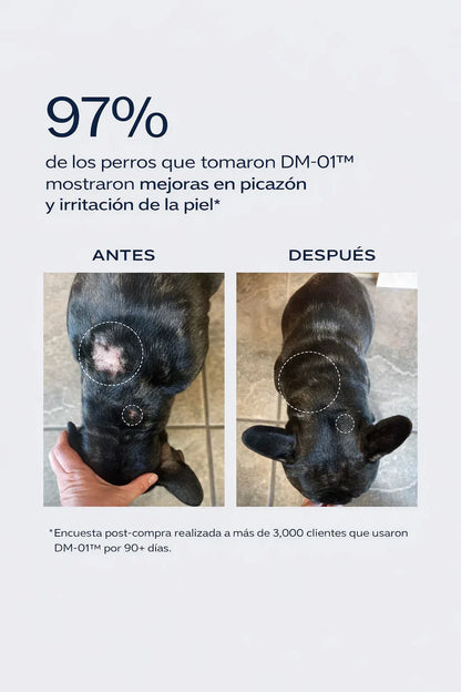 Dog is Human Probiótico Multivitamínico Premium - Mejora el Sistema Inmunológico