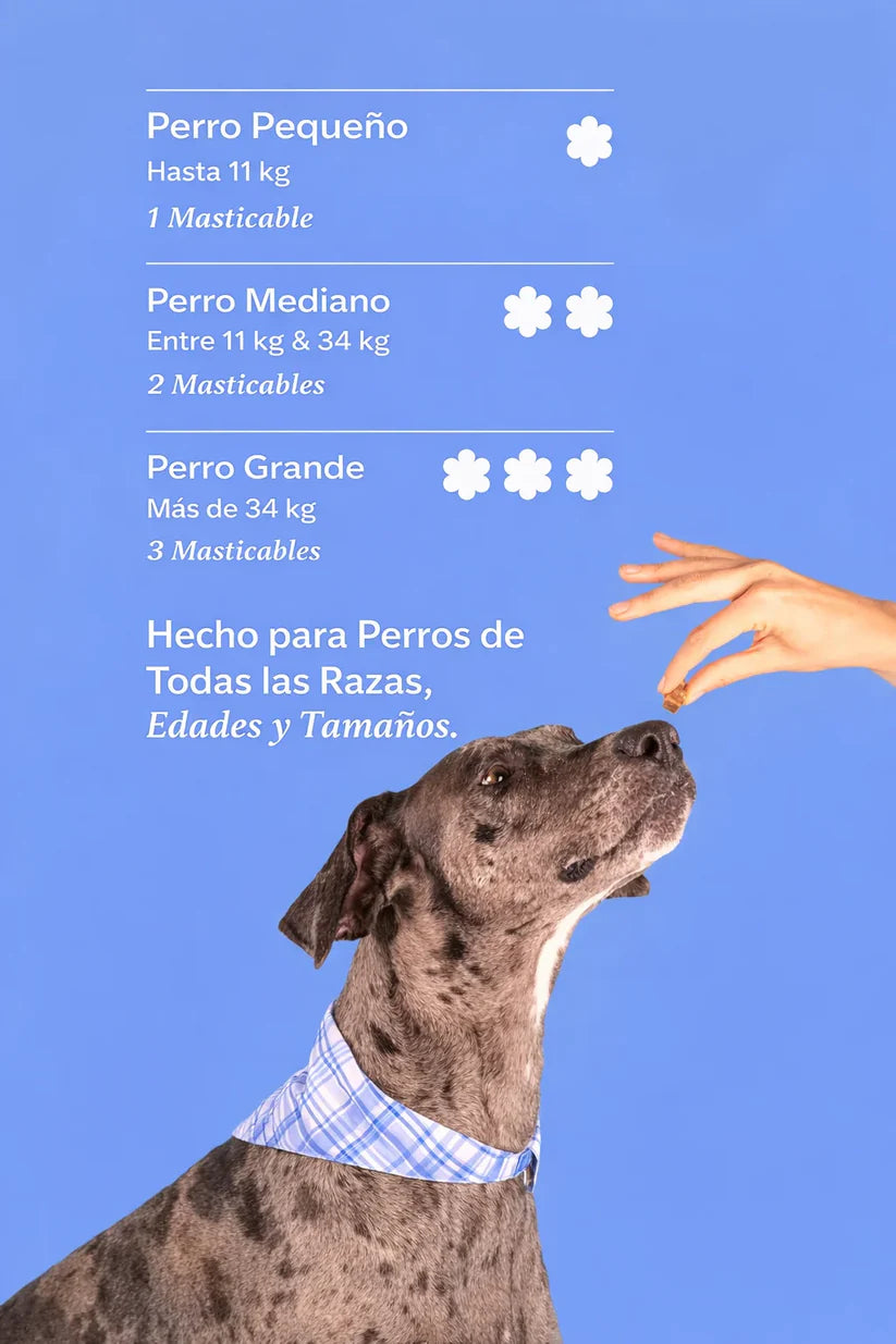 Dog is Human Probiótico Multivitamínico Premium - Mejora el Sistema Inmunológico