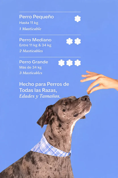 Dog is Human Probiótico Multivitamínico Premium - Mejora el Sistema Inmunológico