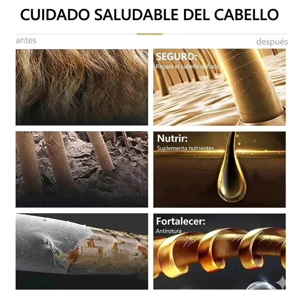 Shampoo 3 en 1 Cubre Canas - ¡Tratamiento Diario para tapar las CANAS de Forma Efectiva!